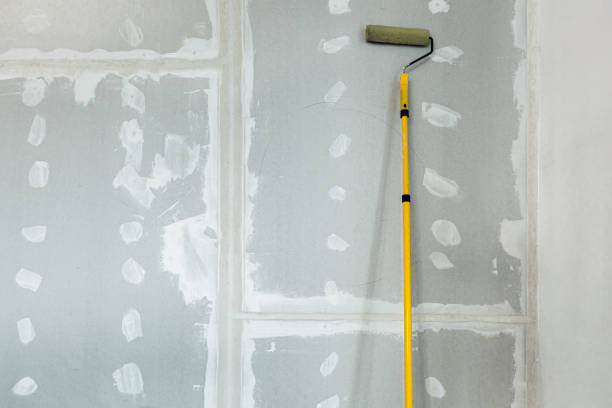 Best Mold Damage Restoration  in Black Diamond, WA